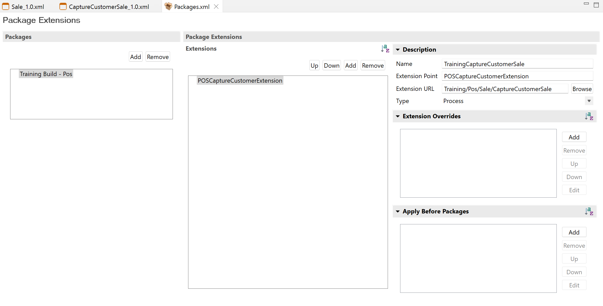 Process Extensions Enactor Docs