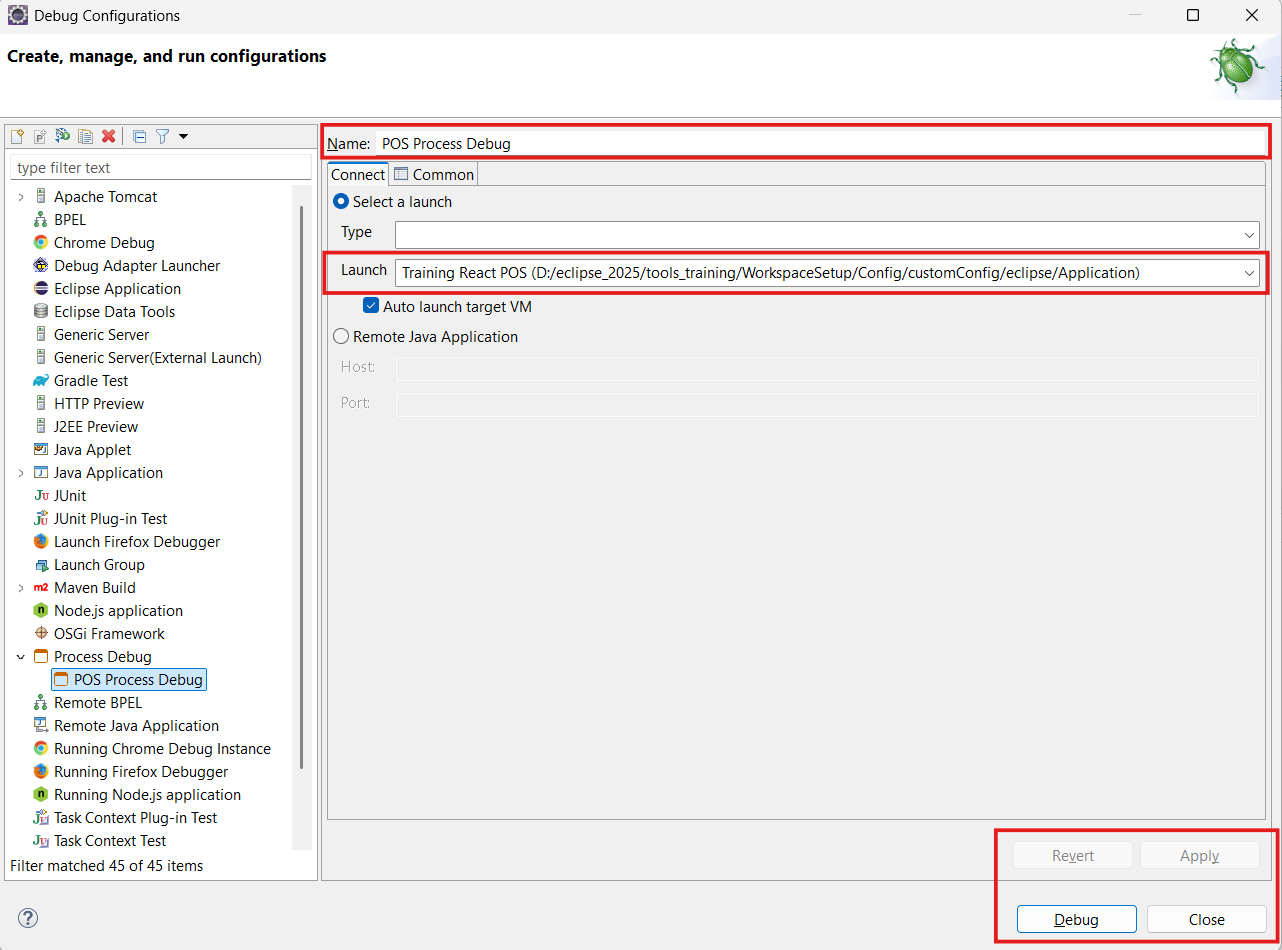 Process Debug Launch