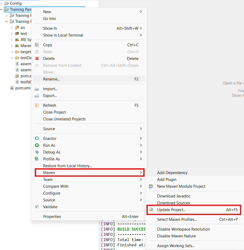 Select Maven Update