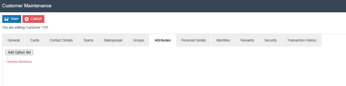 Customer Maintenance Attributes tab for Customer 110. Only the Add Option Set button is shown.