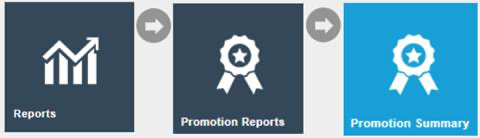 Estate Manager navigation path: Reports > Promotion Reports > Promotion Summary