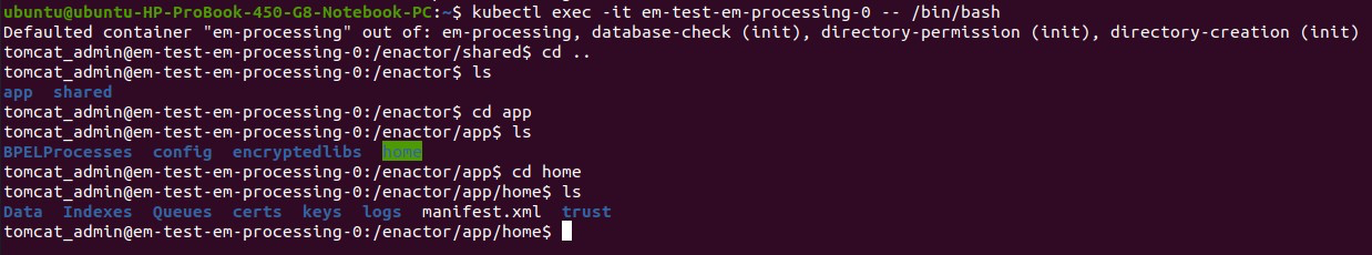 Terminal view of Enactor pod file system