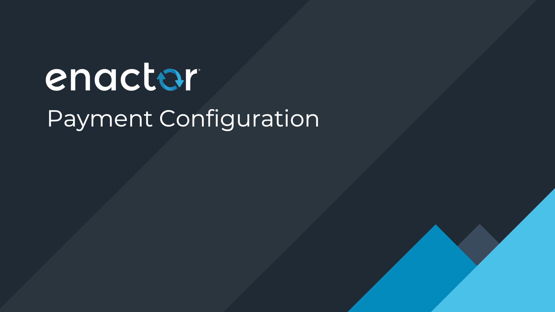 Payment Configuration section divider